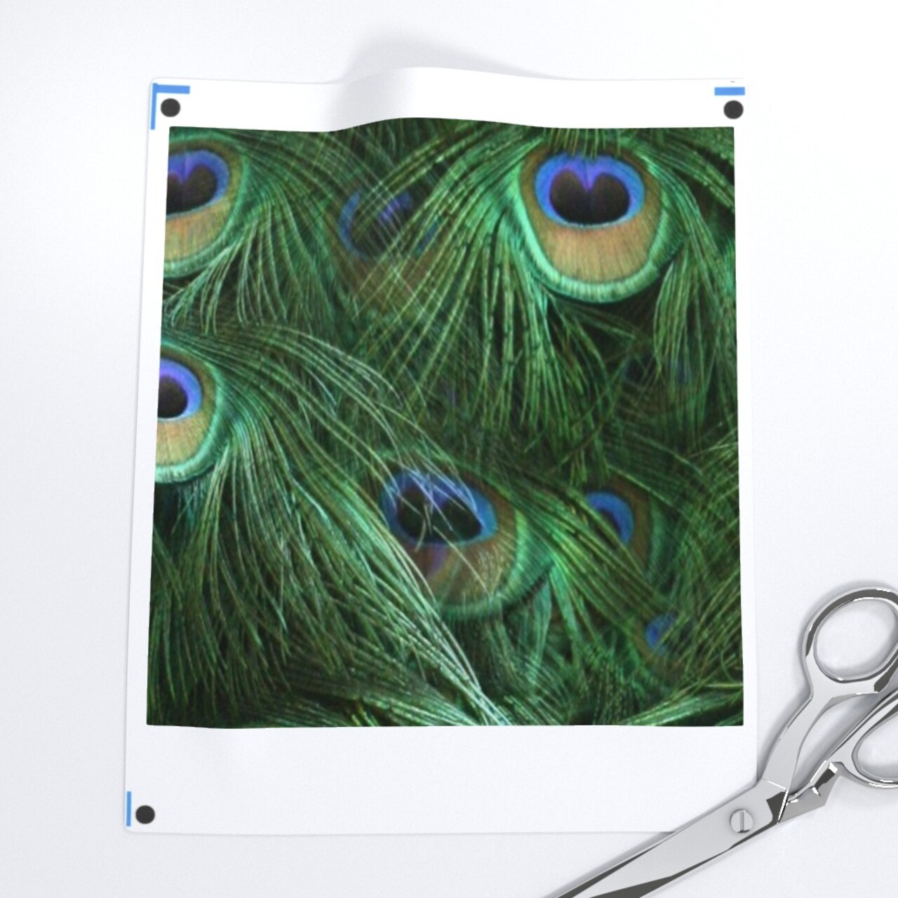 Tale Peacock Tail Feathers Feather Bird Fancy Photographic Abstract Custom Printed Fabric by Spoonflower Various Fabrics by the Yard or Fat Quarter